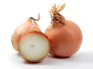 Spanish onion