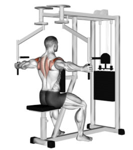 Rear deltoid machine