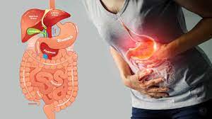 Improves digestion