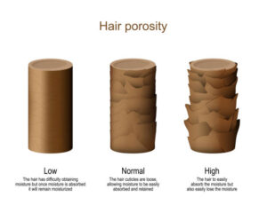 Low Porosity Hair