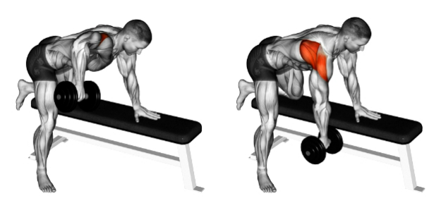 Rear delt exercise